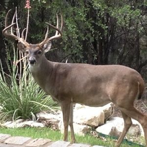 Meet your Posher, Keith